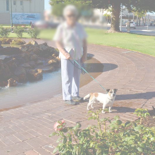 Fox Terrier Happy Days, Memory Foam Bathmat Badmat