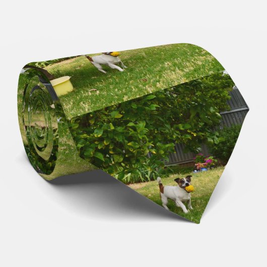 Fox Terrier Happy Days, Stropdas (Opgerold)