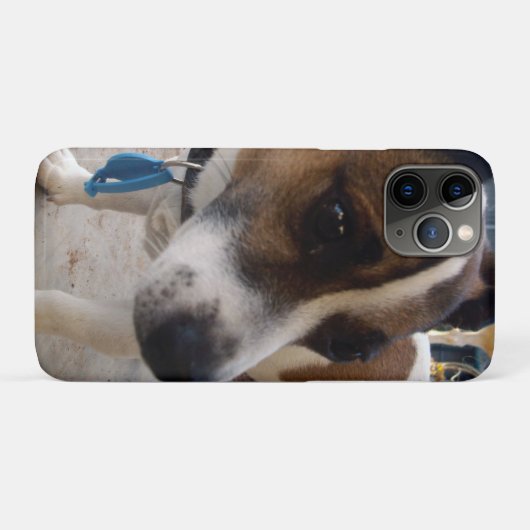 Fox Terrier Hondenattractie, Case-Mate iPhone Case (Achterkant (horizontaal))