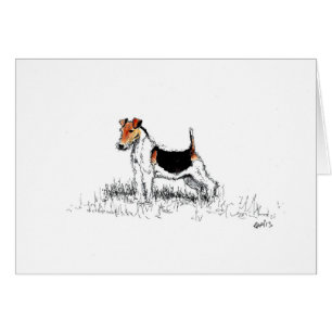 Fox Terrier is trots