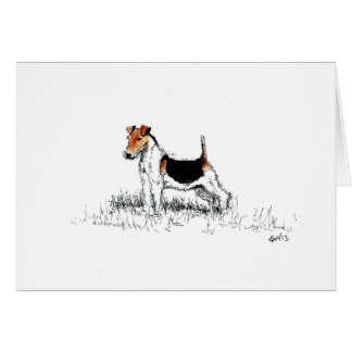 Fox Terrier is trots