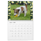 Fox Terrier Kom spelen, agenda Kalender (Mar 2027)