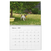 Fox Terrier Kom spelen, agenda Kalender (Feb 2027)