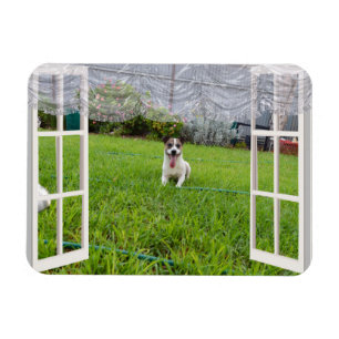 Fox Terrier Kom spelen, Flexible Magnet Magneet