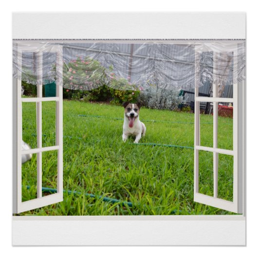 Fox Terrier Kom spelen, Poster (Voorkant)