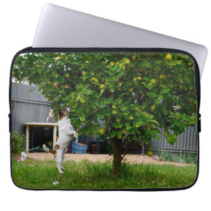Fox Terrier: lep, laptophoes Laptop Sleeve