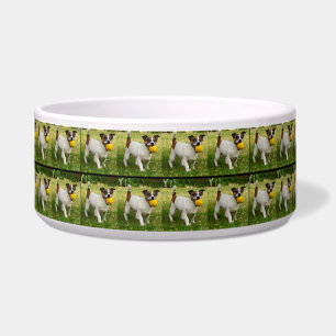 Fox Terrier met zijn bal in een patroon, grote hon Voerbakje