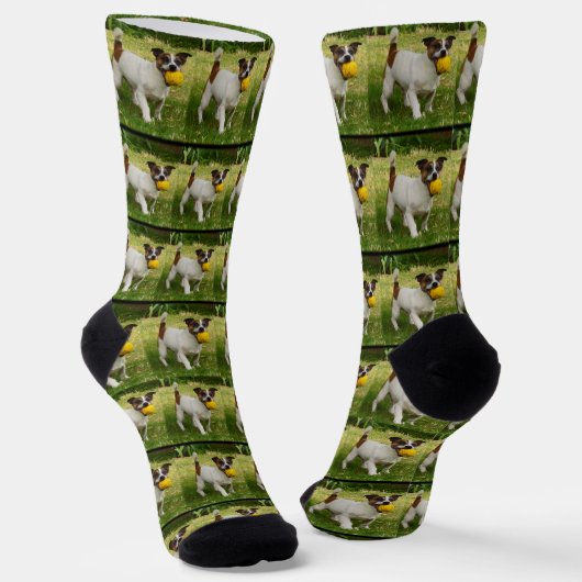 Fox Terrier met zijn balpatroon, Sokken (Gebogen)