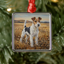 Fox Terrier