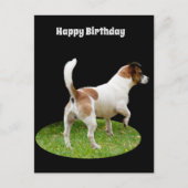 Fox Terrier on Guard Duty, Birthday Briefkaart (Voorkant)