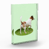 Fox Terrier op alarm, Fotoblokken (Links)