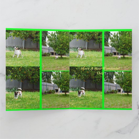 Fox Terrier, Photo Collage, Big Birthday Kaart (Binnen)