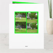 Fox Terrier, Photo Collage, Big Birthday Kaart (Achterkant)