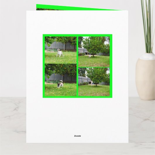 Fox Terrier, Photo Collage, Big Birthday Kaart (Achterkant)