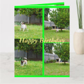 Fox Terrier, Photo Collage, Big Birthday Kaart (Voorkant)