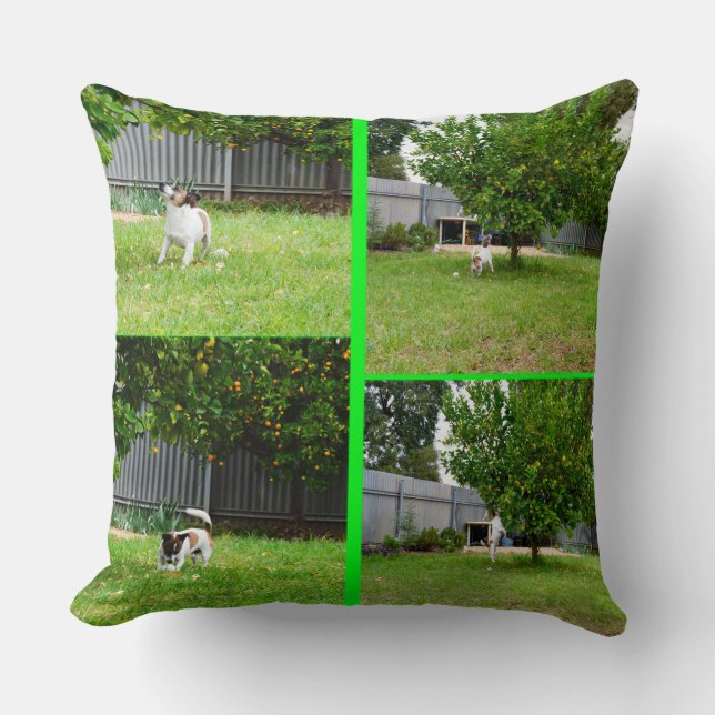 Fox Terrier Photo Collage, Big Throw Cushion. Kussen (Voorkant)