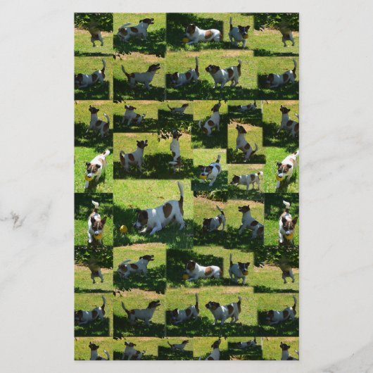 Fox Terrier Photo Collage Briefpapier (Voorkant)