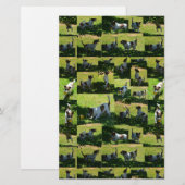 Fox Terrier Photo Collage Briefpapier (Voorkant / Achterkant)