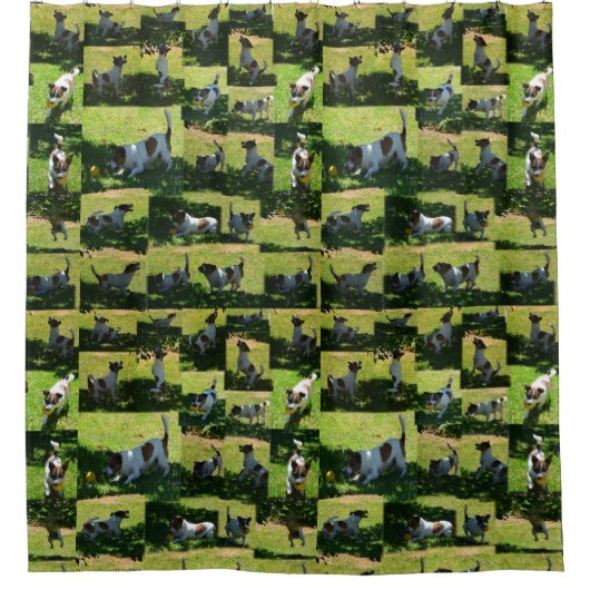 Fox Terrier Photo Collage Douchegordijn (Voorkant)