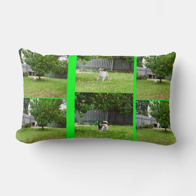 Fox Terrier Photo Collage, Lumbar Cushion. Kussen (Voorkant)