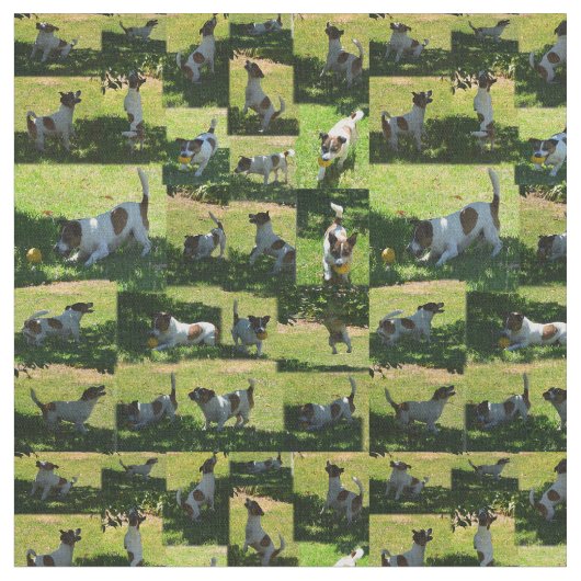 Fox Terrier Photo Collage Stof (Close Up)