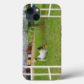Fox Terrier Play Ball Case-Mate iPhone Case (Achterkant)