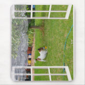 Fox Terrier Play Ball, Mousepad Muismat (Voorkant)