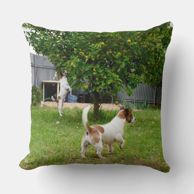 Fox Terrier Play Time Big Throw Cushion Kussen (Voorkant)