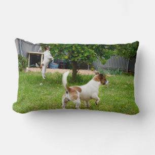 Fox Terrier Play Time Lumbar Cushion Kussen