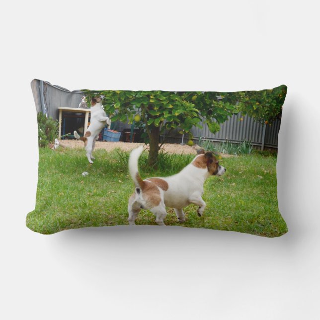 Fox Terrier Play Time Lumbar Cushion Kussen (Voorkant)