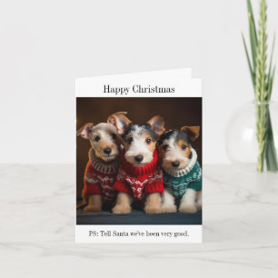 Fox Terrier Puppies in Kersttruien Kaart