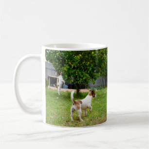 Fox Terrier springt in een boom, Koffiemok