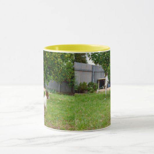 Fox Terrier springt in een boom, Mok (Midden)