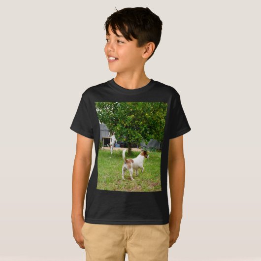 Fox Terrier springt in een boom, T-shirt (Voorkant volledig)