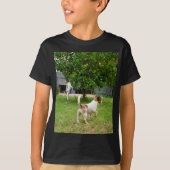 Fox Terrier springt in een boom, T-shirt (Voorkant)