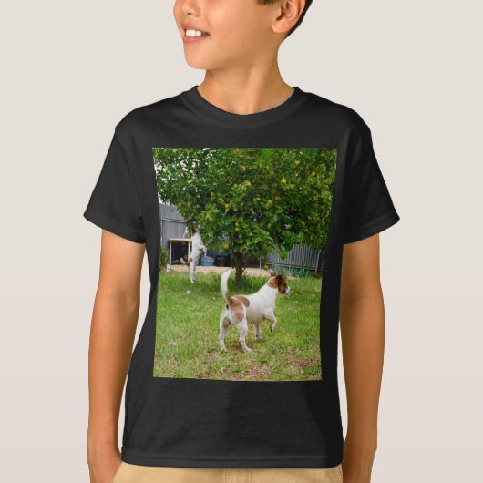 Fox Terrier springt in een boom, T-shirt (Voorkant)