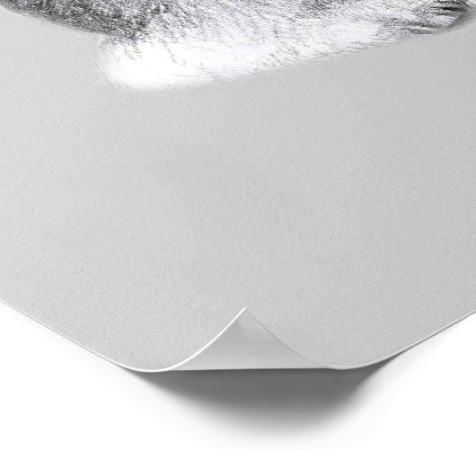 Fox Terrier-tekening Poster (Hoek)