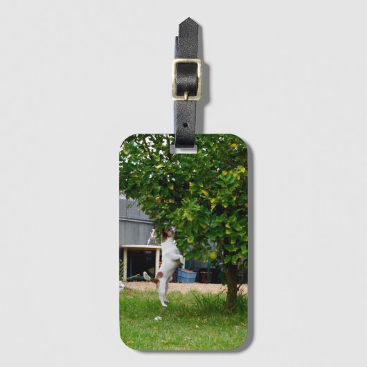 Fox Terrier The Leap, Bagagelabel (Voorkant (verticaal))