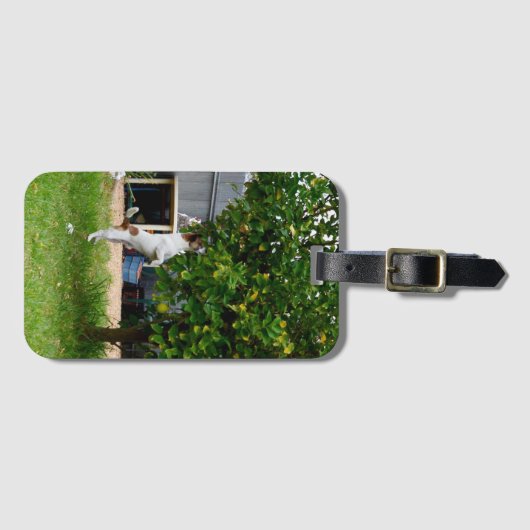 Fox Terrier The Leap, Bagagelabel (Voorkant (horizontaal))