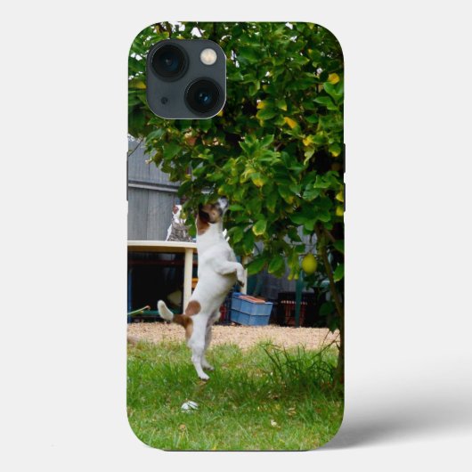 Fox Terrier The Leap, iPhone 13 Hoesje (Achterkant)