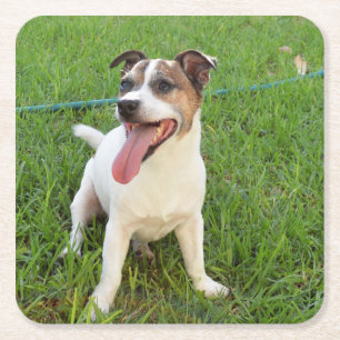 Fox Terrier, Tongue in Cheek, Kartonnen Onderzetters