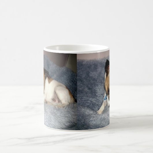 Fox Terrier, zo verlegen, Magic Morph Coffee Mok. Magische Mok (Center)