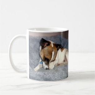 Fox Terrier, zo verlegen, witte koffie Mok. Koffiemok