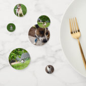 Fox Terriers Confetti (Groep)