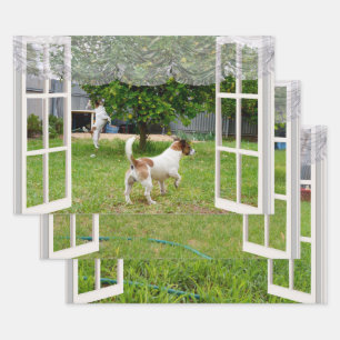 Fox Terriers die de tuin verkennen, Inpakpapier Vel