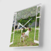 Fox Terriers die de tuin verkennen, Vierkante Klok (Hoek)