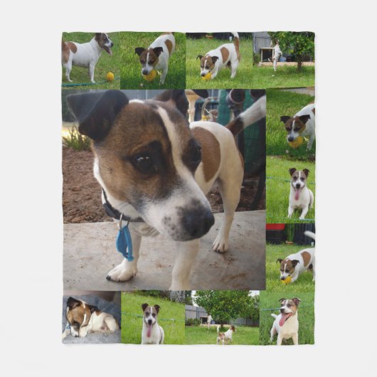 Fox Terriers in een fotocollage, Fleece Deken (Voorkant)