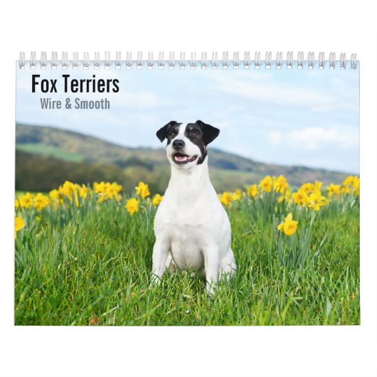 Fox Terriers Wire & Smooth 2027 Kalender (Hoes)