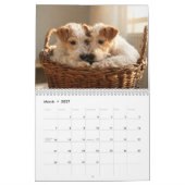 Fox Terriers Wire & Smooth 2027 Kalender (Mar 2027)