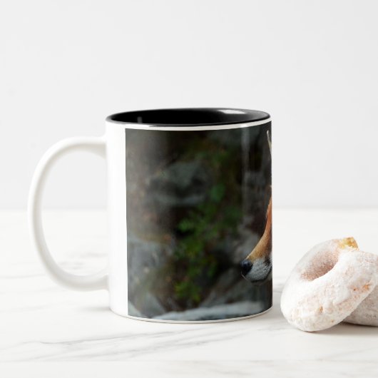 Fox Tweekleurige Koffiemok (Met donut)
